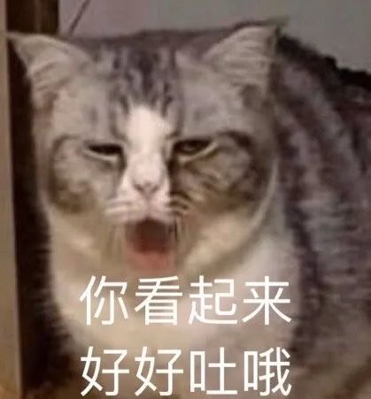 沙雕表情包会说话你就多说点