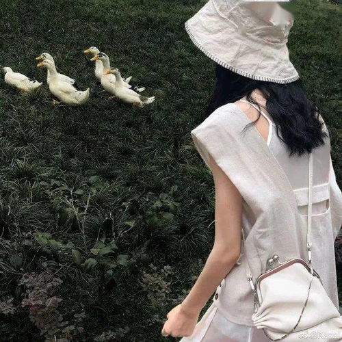总能找到喜欢的头像呀