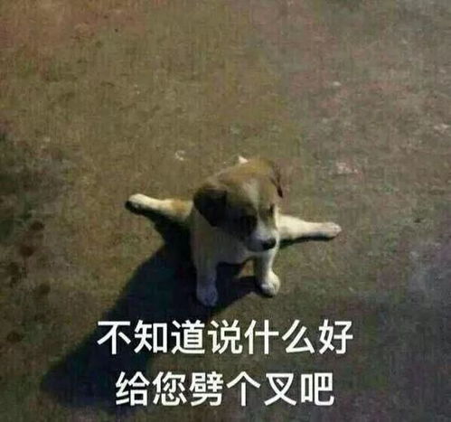 虐菜主播突破下限引众怒,虐杀路人100次丧心病狂