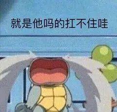 冲冲冲憨憨杰尼龟沙雕表情包
