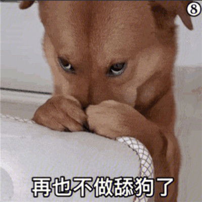 让人爆笑的微信聊天表情你不觉得有你点叛逆吗