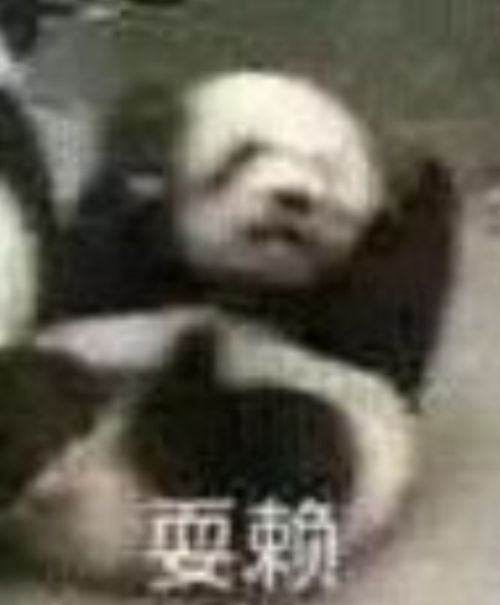 沙雕表情包狗都困了,你还不困
