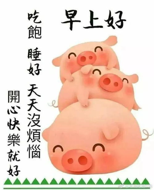 大家早上好早上好表情早上好问候语大全大家早上好