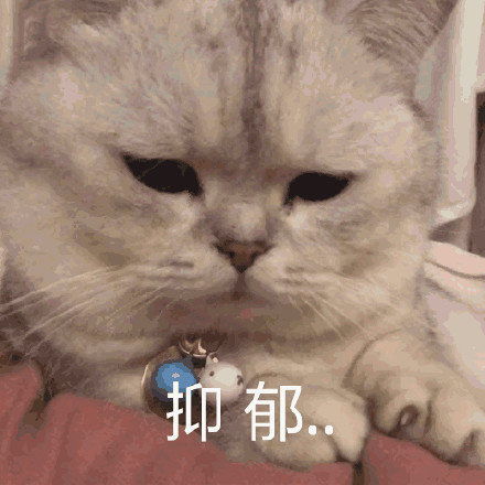 热门表情包图片好想每天睡前,能有人互道晚安