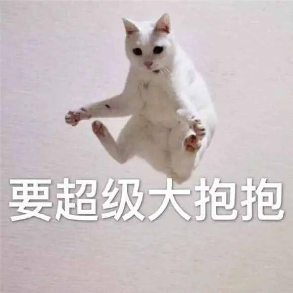 沙雕表情爱情是最不靠谱的东西