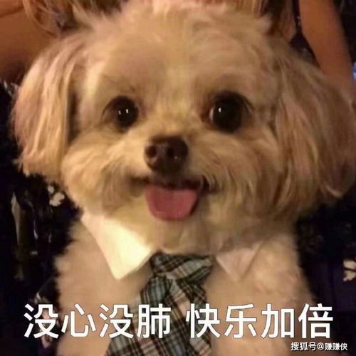 搞笑表情包图片再说一次试试,我就要说