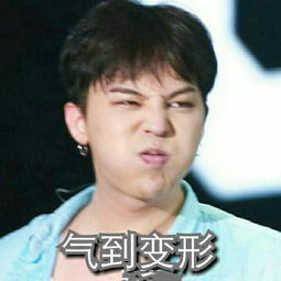 权志龙带字搞笑表情包我一口盐汽水喷死你
