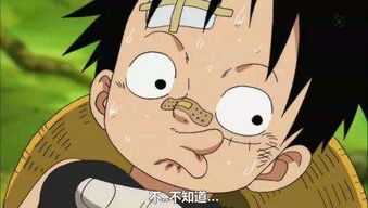海贼王路飞是个可爱的孩子,做过这么多搞笑的事情