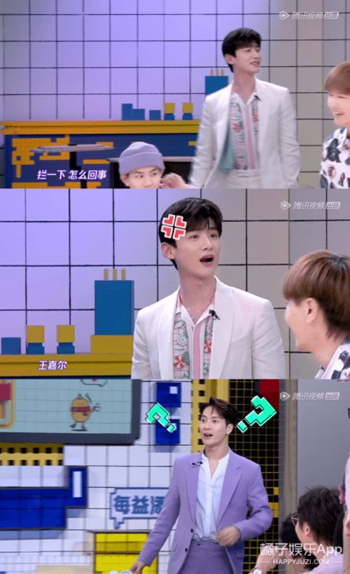 井柏然白敬亭爆笑互怼日常小白败阵被气成猫头鹰表情包秒存