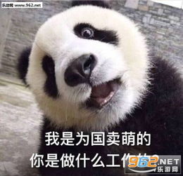 我一定要把你养的又肥有大表情包我是为国家卖萌的你是做什么工作的表情包下载乐游网游戏下载