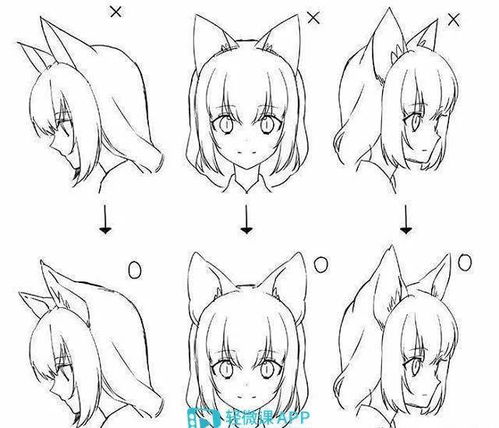 猫耳朵女生画法教程,超可爱人物耳朵绘画技巧