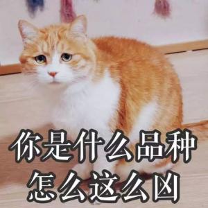 爆笑gif哥们,你这手速还不错
