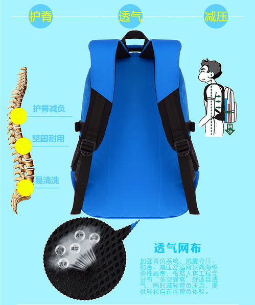 小学生书包16年级减负护脊书包小学生男女儿童卡通书包614周岁