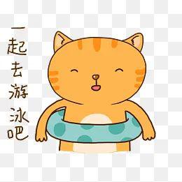 高明体育中心游泳馆今起恢复开放