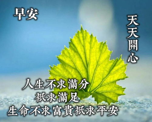 11月4日周四最美早安愉快动态图片带字最新早上好开心祝福动态表情图片