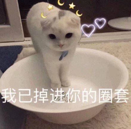 搞笑表情包图片笑到六亲不认,你见过吗