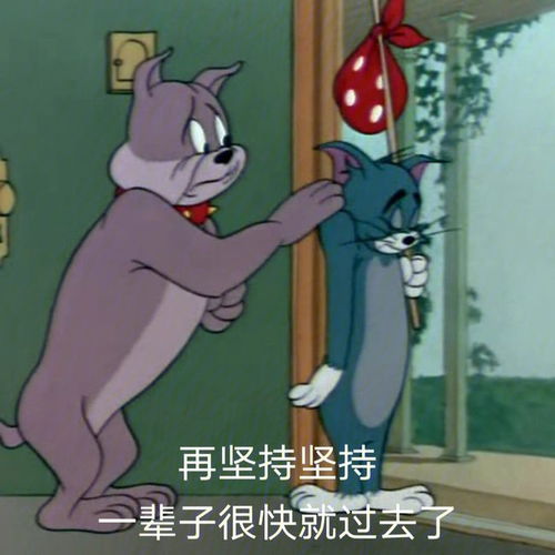 表情包我这个小老鼠看到了什么