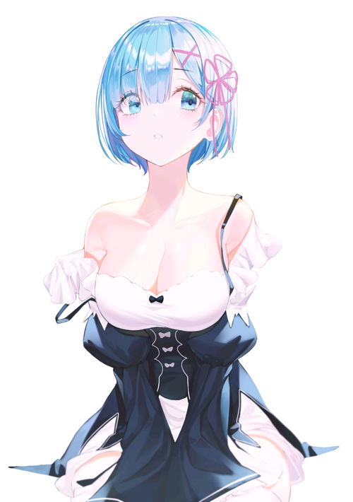 哔哩哔哩专栏