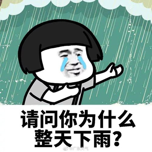 下大雨搞笑表情包苍梧