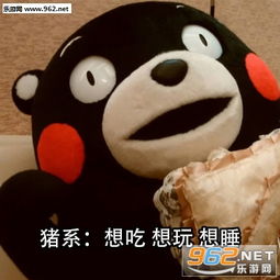 二系懵系仙系备胎系三连表情包图片大全猪系想吃想玩想睡表情包图片下载乐游网游戏下载