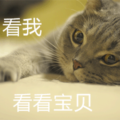 手把手教你做自家主子的表情包