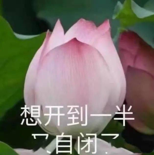 雌雄难辨or人畜不分近视人的日常竟是这样