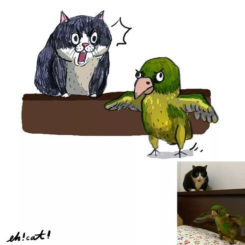 画风极酸爽的灵魂画手,把你家猫画成超搞笑表情包
