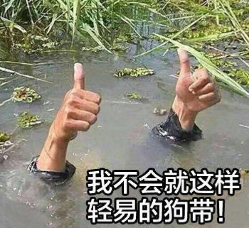 你瞅啥老友喝酒暴起伤人汪峰是头条之王