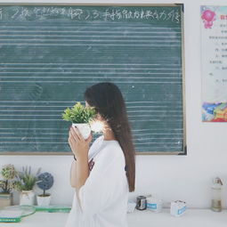 送给素未谋面的你们