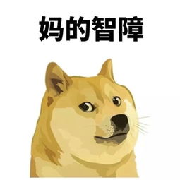听说四川下雪,可为啥成都妹子的妆花了