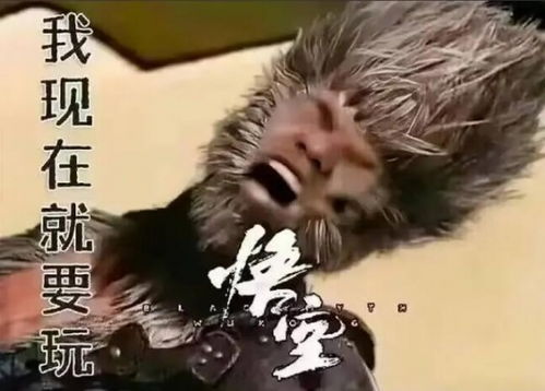 黑神话悟空启动表情包黑神话悟空启动表情包一览