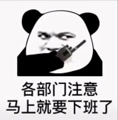 来了收获爆笑无限的超级沙雕表情包大放送