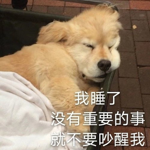 七夕节艾特对象的搞笑句子艾特社会人的句子