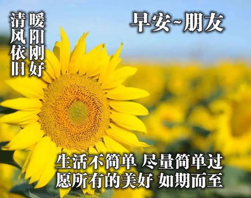2021年4月10日星期六清晨早上好问候祝福动态表情周五最新早安问候图片合集