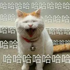 斑马竟然被卡在围栏上动物园回应了