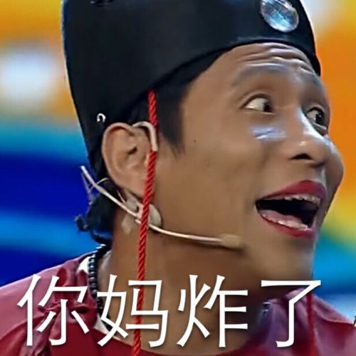 宋小宝搞怪表情图片带字宋小宝是不是傻表情包