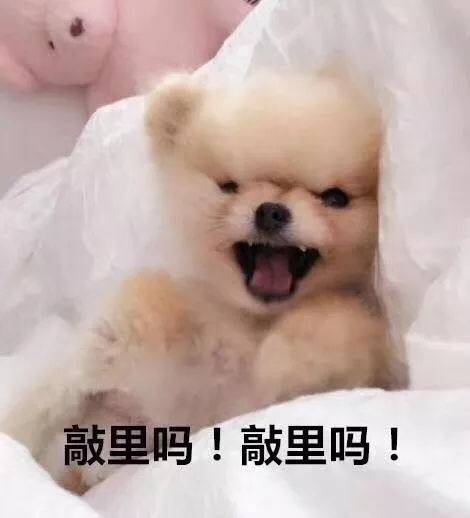 38个辞职的理由告诉你离职原因怎么写