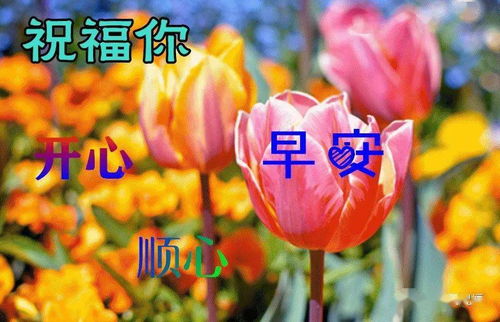 9月15日最漂亮早上好动态表情图片大全,早上好动图美图大全
