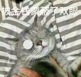 扛着700多万现金来上海血拼我们不一样,不一样