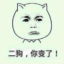 八戒,你大师兄已被我赶回花果山,可你却如此难堪重任