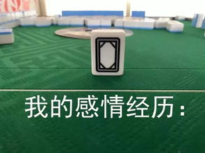 点解番禺人中意打麻将