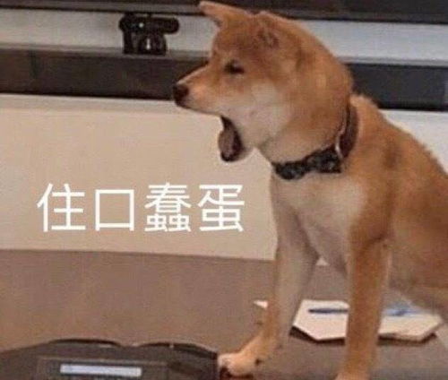 这些很优质的朋友圈文案能吸引到沙雕网友吗1