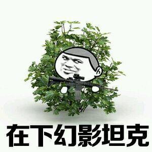 吃鸡表情包吃鸡别忘斗图,在下伏地魔