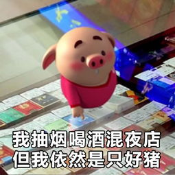 猪小屁表情包高清原图