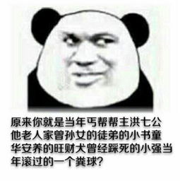 谁能给我点金馆长熊猫表情,直接发,跪求
