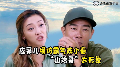 应采儿搞笑模仿山鸡哥,每帧都是表情包,太形象了