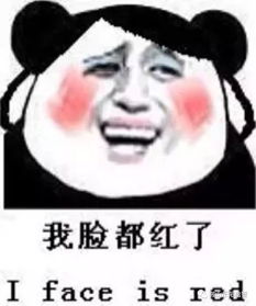 又老了一岁的搞笑表情气鼓