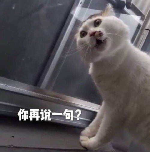 搞笑表情包图片我没事,我很好,我开车去接你