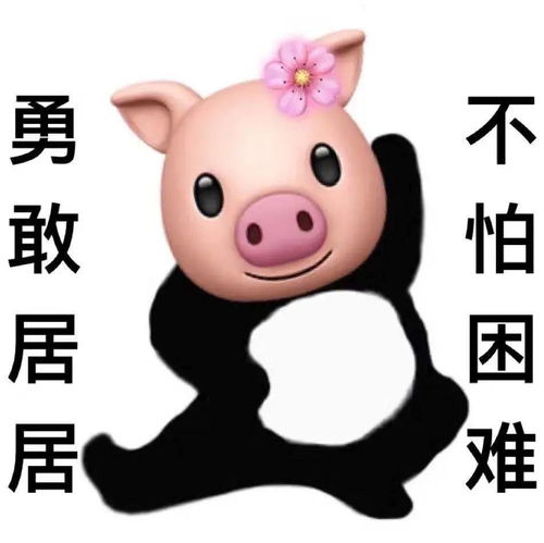 今天是世界表情包日