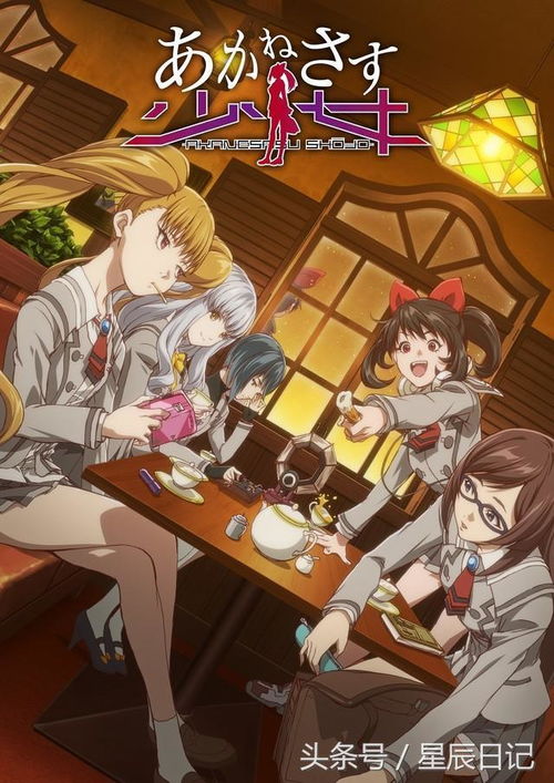 tv动画茜晖少女新情报公开